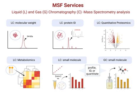 mass spectrometry analysis services